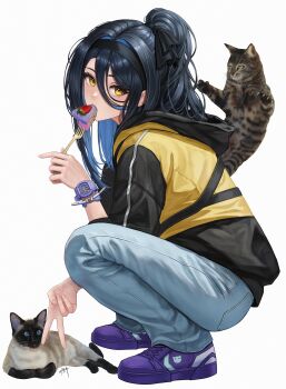 1girl absurdres animal asymmetrical_bangs black_hair black_hairband black_ribbon cake cake_slice cat colored_inner_hair colorpoint_(pattern) commentary_request denim eruthu food food_in_mouth fork from_side fruit gangzi_(vtuber) hair_between_eyes hair_ribbon hairband hand_up highres holding holding_fork hood hood_down hooded_jacket jacket jeans korean_commentary long_bangs long_hair long_sleeves looking_at_viewer looking_to_the_side multicolored_hair multicolored_jacket pants ponytail purple_shoes ribbon shoes siamese_cat simple_background sneakers solo squatting stellive strawberry turning_head two-tone_jacket v virtual_youtuber watch white_background wristwatch yellow_eyes