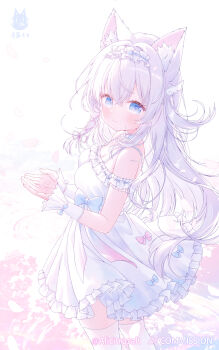 Rule 34 | 1girl, absurdres, animal ear fluff, animal ears, armband, blue bow, blue choker, blue eyes, bow, breasts, character request, choker, cleavage, closed mouth, commentary request, copyright request, cowboy shot, cupping hands, dot nose, dress, dress bow, facing to the side, falling petals, flower choker, frilled armband, frilled dress, frilled headwear, frills, hair bow, hair ornament, hair spread out, headdress, heart, heart in eye, highres, holding, holding petal, light blush, long hair, looking at viewer, medium breasts, own hands together, petals, pink bow, pink ribbon, qingye tuanzi, ribbon, sidelocks, sleeveless, smile, spaghetti strap, standing, standing on liquid, symbol in eye, thighhighs, virtual youtuber, white armband, white background, white dress, white hair, white headdress, white thighhighs, wing hair ornament, zettai ryouiki