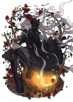 1girl absurdres animal animal_ear_fluff animal_ears animal_on_shoulder black_boots black_cat black_dress black_nails black_pantyhose blunt_bangs blush boots cat cat_on_shoulder cross dress floating_hair flower flower_to_mouth frilled_boots frilled_dress frilled_footwear frills full_body glowing glowing_eyes gothic_lolita hair_flower hair_ornament hairband high_heel_boots high_heels highres hime_cut holding holding_flower jack-o&#039;-lantern knee_boots lolita_fashion lolita_hairband long_hair long_sleeves looking_at_viewer mixed-language_commentary original pantyhose puffy_sleeves red_flower red_rose rose rose_bush sitting sitting_on_object solo tamaco_3 thorns very_long_hair white_hair wind wind_lift yellow_eyes