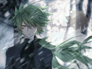 Rule 34 | 2boys, ahoge, anmicius, aotu world, back-to-back, black jacket, black shirt, blurry, brown hair, bu gu, chinese commentary, closed mouth, commentary request, day, floating hair, forest, green hair, hair between eyes, highres, jacket, long hair, looking to the side, low ponytail, male focus, multiple boys, nature, outdoors, pointy ears, ponytail, red eyes, shirt, short hair, sidelocks, snowing, solo focus, tree, upper body, white shirt, wind, xander (aotu world), yellow eyes