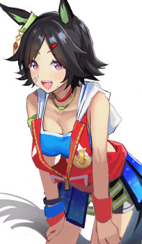 1girl absurdres animal_ears armband bandaid bandaid_on_cheek bandaid_on_face bandeau black_hair blue_bandeau blue_skirt blue_sports_bra blush breasts cleavage collarbone ear_ornament franz2543 grey_shorts hair_between_eyes hair_ornament hairclip highres hood hooded_jacket horse_ears horse_girl horse_tail jacket jewelry looking_at_viewer medium_breasts necklace open_mouth red_eyes red_jacket shirt short_hair shorts shorts_under_skirt simple_background skirt sleeveless sleeveless_jacket smile solo sports_bra sweatdrop tail teeth tongue umamusume upper_teeth_only white_background winning_ticket_(get_to_winning!)_(umamusume) winning_ticket_(umamusume)