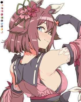 Rule 34 | 1girl, animal ears, arm up, bare shoulders, black gloves, black sailor collar, black sash, blue eyes, breasts, closed mouth, commentary request, detached sleeves, ear covers, elbow gloves, fingerless gloves, flexing, flipped hair, flower, from behind, gloves, green ribbon, hair between eyes, hair flower, hair ornament, horse ears, horse girl, japanese clothes, kimono, large breasts, looking at viewer, looking back, obi, pink hair, pink kimono, pink sleeves, ribbon, sailor collar, sailor kimono, sakura chiyono o (hinoshita kaisan hana akari) (umamusume), sakura chiyono o (umamusume), sash, short hair, sideboob, simple background, smile, solo, toriga naku, umamusume, white background, wide sleeves