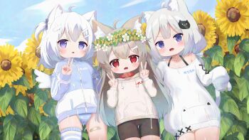 3girls adversarial_noise ahoge animal_ear_fluff animal_ears bandaid_on_thigh bike_shorts black_shorts blue_jacket blue_panties blue_sky bone_hair_ornament cat_ears cat_girl cat_hair_ornament cat_tail commentary_request cum cum_on_clothes day dog_ears dog_girl double_v field flat_chest flower flower_field flower_wreath grey_hair grey_hoodie hair_ornament hands_up highres hood hood_down hoodie jacket loli long_sleeves looking_at_viewer low_twintails multiple_girls one_side_up open_mouth original outdoors paid_reward_available panties purple_eyes red_eyes short_shorts shorts siera_(sieracitrus) single_bare_shoulder single_thighhigh sky sleeves_past_fingers sleeves_past_wrists striped_clothes striped_thighhighs sunflower sunflower_field sweater tail thighhighs thighs twintails underwear v white_hair white_sweater