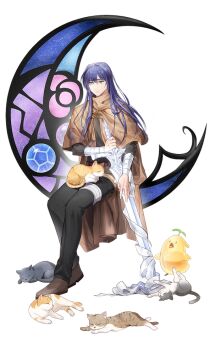 ! 1boy arm_wrap bandages belt belt_buckle black_pants black_shirt black_sleeves blue_gemstone blue_hair boris_jinneman brown_belt brown_cape brown_fur brown_shoes buckle cape cat closed_mouth crescent cross-laced_capelet cross-laced_clothes crossed_belts expressionless fingernails full_body gem glint gloves grey_cat grey_eyes grey_fur hair_between_eyes holding holding_sword holding_weapon jellyppi leaf_jellyppi long_hair male_focus nexon open_mouth orange_fur pants runebora second-party_source shirt shoes silver_legwear simple_background sitting slime_(creature) straight_hair striped_fur sword tales_weaver three-quarter_sleeves transparent_background turtleneck turtleneck_capelet weapon white_fur