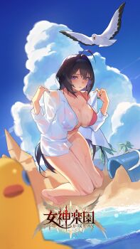 1girl ahoge artist_request beach bikini bird black_hair black_nails breasts bucket character_request closed_mouth cloud collared_shirt commentary_request copyright_logo goddess_paradise highres kneeling logo ocean open_clothes open_shirt palm_tree pink_bikini purple_eyes sand_castle sand_sculpture seagull shirt sky solo swimsuit tree wet white_shirt