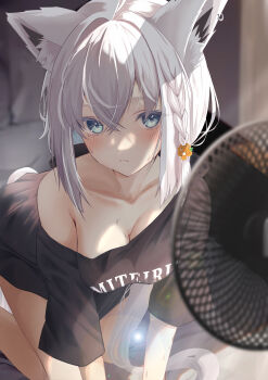1girl absurdres all_fours animal_ear_fluff animal_ear_piercing animal_ears aqua_eyes black_shirt blurry blurry_background blush braid breasts cleavage closed_mouth collarbone commentary_request ear_piercing electric_fan flower fox_ears fox_girl fox_tail hair_between_eyes hair_flower hair_ornament highres hololive indoors june6illust oversized_clothes oversized_shirt piercing shirakami_fubuki shirt single_braid solo tail white_hair