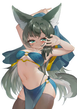 1girl :3 absurdres animal_ears aqua_eyes black_hair black_thighhighs breasts chinese_commentary closed_mouth commentary_request copyright_request cowboy_shot dancer dog_ears dog_girl dog_tail highres long_hair medium_breasts navel partial_commentary pelvic_curtain simple_background tail tankcay thighhighs very_long_hair white_background