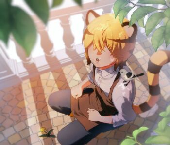 Rule 34 | 1boy, 1sankn, animal, animal ears, animal on shoulder, apron, bird, bird on shoulder, blanc (heartopia), blurry, blurry foreground, brown apron, collared shirt, commentary, crossed bangs, dandelion, flower, from above, full body, hair over eyes, heartopia, light rays, looking at viewer, looking up, male focus, outdoors, parted lips, shirt, short hair, solo, squatting, striped tail, sunlight, tail, teeth, tiger boy, tiger ears, tiger tail, upper teeth only