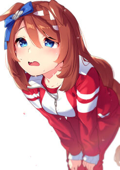 1girl absurdres animal_ears blue_bow blue_eyes blush bow braid breasts brown_hair collarbone commentary_request ear_bow ears_down goshichi_shoji hair_between_eyes hands_on_own_knees highres horse_ears horse_girl horse_tail jacket large_breasts long_hair looking_up multicolored_hair open_mouth pants red_jacket red_pants red_track_suit simple_background solo streaked_hair super_creek_(umamusume) sweat tail tracen_training_uniform track_jacket track_pants track_suit umamusume very_long_hair white_background white_hair