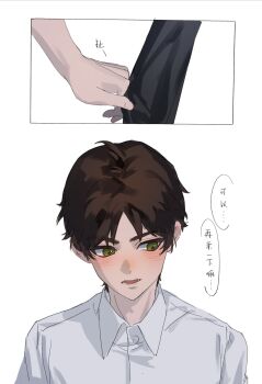 1boy 1girl black_sleeves blush brown_hair clothes_grab collared_shirt eren_yeager grabbing_another's_sleeve green_eyes hetero highres male_focus mikasa_ackerman open_mouth parted_bangs shingeki_no_kyojin shingeki_no_school_castes shirt short_hair talking white_background white_shirt yun_(dl2n5c7kbh8ihcx)