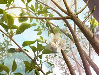 blue_sky bud commentary day flower flower_focus highres leaf no_humans original painting_(medium) plant plant_focus scenery sky symbol-only_commentary traditional_media tree white_flower yu02257951