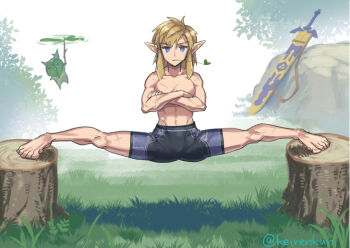 1boy artist_name barefoot black_shorts blonde_hair blue_eyes commentary_request crossed_arms fog grass korok link looking_at_viewer male_focus master_sword monbetsu_kuniharu mouth_hold nintendo pointy_ears scabbard scar scar_on_arm scar_on_leg sheath shorts sidelocks solo_focus split the_epic_split the_legend_of_zelda the_legend_of_zelda:_breath_of_the_wild topless_male tree_stump twitter_username
