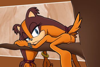 ass bad_tag bare_legs barefoot blue_eyes bracelet brown_fur brown_hair completely_nude feet flat_chest hair_tie half-closed_eyes huge_ass jewelry jungle legs lisnotsfw loli looking_back lying nature nude on_tree orange_fur orange_hair perineum petite pussy sega sonic_(series) sonic_boom sonic_boom_(series) sticks_the_badger tail tree tribal twintails