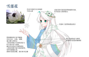 Rule 34 | 1girl, absurdres, alternate costume, alternate hairstyle, chinese clothes, chinese text, commentary request, flower, green eyes, hair ornament, hat, highres, long hair, long sleeves, personification, quanmian shidai, snow lotus, snowflakes, solo, tibetan clothes, wen xiaomian, wenxiaomian family, white background, white flower, white hair, wide sleeves