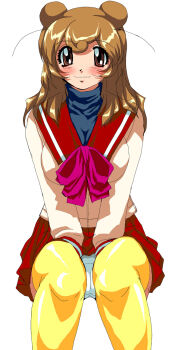 Rule 34 | 00s, brown eyes, brown hair, double bun, hamster no kurumi, highres, long image, panties, tall image, tenshi no shippo, underwear, upskirt	eyeball (artist)