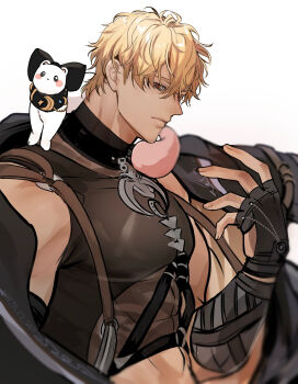 1boy abs animal animal_on_shoulder bare_shoulders belt black_belt black_collar black_gloves black_jacket black_shirt blonde_hair brown_belt chest_harness collar crop_top ermine fingerless_gloves gloves hand_up harness highres jacket jacket_on_shoulders jewelry large_pectorals male_focus midriff miyamoyan muscular muscular_male necklace nu_carnival off_shoulder official_alternate_costume pectorals quincy_(distant_promise)_(nu_carnival) quincy_(nu_carnival) red_eyes shirt short_hair simple_background sleeveless sleeveless_shirt solo topper_(nu_carnival) upper_body weasel white_background