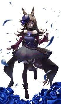 1girl absurdres animal_ears anno_masato black_dress black_shoes black_thighhighs blue_flower brown_hair closed_mouth dress flower hair_over_one_eye highres horse_ears horse_girl long_hair looking_at_viewer purple_eyes red_sleeves rice_shower_(umamusume) shoes smile solo thighhighs umamusume