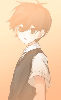 1boy antenna_hair black_eyes black_hair black_sweater_vest bright_pupils collared_shirt double-parted_bangs hair_between_eyes highres imo_mo_0 looking_at_viewer male_focus omori parted_lips shirt short_hair short_sleeves solo sunny_(omori) sweater_vest upper_body white_pupils white_shirt