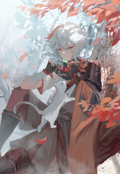 1boy animal armor asymmetrical_armor asymmetrical_sleeves bandaged_hand bandages black_armor black_boots black_scarf boots cat closed_mouth commentary english_commentary falling_leaves feet_out_of_frame genshin_impact grey_shorts hair_between_eyes hakama hakama_shorts hands_up highres holding holding_leaf ilumiarts in_tree japanese_armor japanese_clothes kaedehara_kazuha knee_up leaf long_hair long_sleeves looking_at_viewer male_focus multicolored_hair outdoors ponytail red_eyes red_hair scarf short_sleeves shorts shoulder_armor single_sode sitting sitting_in_tree smile sode solo streaked_hair tree uneven_sleeves white_hair wide_sleeves