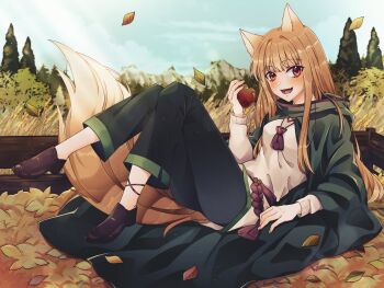 1girl absurdres animal_ears autumn autumn_leaves blush breasts brown_hair cloak fang highres holo hood hooded_cloak leaf long_hair looking_at_viewer medium_breasts open_mouth pants red_eyes sidelocks smile solo spice_and_wolf suzuran_arts tail very_long_hair wolf_ears wolf_girl wolf_tail
