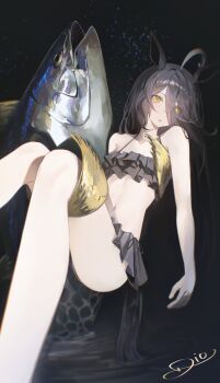 1girl absurdres ahoge animal_ears bare_shoulders bikini black_bikini black_hair breasts carrying commentary dio_dio fish frilled_bikini frills hair_between_eyes highres horse_ears horse_girl horse_tail long_bangs long_hair long_hair_between_eyes looking_at_viewer manhattan_cafe_(umamusume) manhattan_cafe_holding_a_fish_(meme) meme multicolored_hair navel princess_carry role_reversal small_breasts solo stomach swimsuit tail tuna umamusume very_long_hair white_hair yellow_eyes