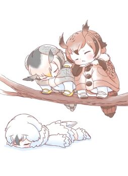 3girls aged_down animal_print bird_girl bird_print bird_tail bird_wings black_hair blonde_hair branch brown_coat brown_hair child coat eurasian_eagle_owl_(kemono_friends) frilled_socks frills fur_collar fur_trim gloves grey_coat grey_hair hair_between_eyes head_wings kemono_friends long_sleeves lying maki_(02uh14l1b740ao2) multicolored_coat multicolored_hair multiple_girls northern_white-faced_owl_(kemono_friends) on_stomach owl_ears owl_girl pantyhose print_coat shoes short_hair sidelocks sleeping snowy_owl_(kemono_friends) socks tail white_coat white_fur white_gloves white_hair white_pantyhose white_shoes white_socks wings winter_clothes winter_coat yellow_gloves yellow_shoes