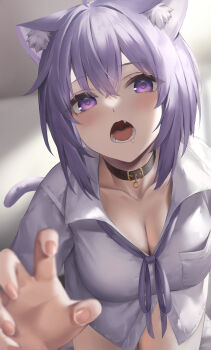 1girl absurdres animal_ears belt_collar blurry blurry_foreground breasts buckle cat_ears cat_tail choker claw_pose cleavage collar collarbone crossed_bangs fang hibimaru highres hololive large_breasts leaning_forward naked_shirt nekomata_okayu nekomata_okayu_(oversized_shirt) open_mouth purple_eyes purple_hair revision ribbon saliva shirt tail teeth thighs tongue virtual_youtuber white_shirt