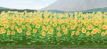blue_sky day field flower flower_field game_cg grass hill mountain no_humans non-web_source official_art outdoors sky sunflower touhou touhou_gensou_eclipse yellow_flower