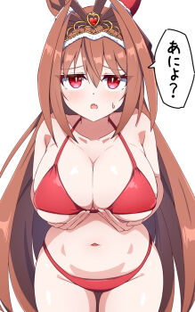 1girl animal_ears bikini blush breasts brown_hair cleavage collarbone commentary_request cowboy_shot daiwa_scarlet_(umamusume) fang grabbing_own_breast hair_between_eyes hair_intakes hiro_(pqtks113) horse_ears horse_girl horse_tail large_breasts leaning_forward long_hair looking_at_viewer navel open_mouth red_bikini red_eyes simple_background skin_fang skindentation solo speech_bubble stomach sweat swimsuit tail thighs tiara translation_request umamusume underboob very_long_hair white_background