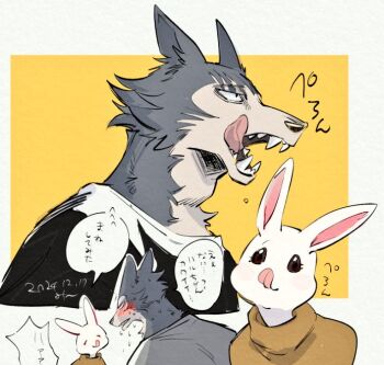 1boy 1girl animal_ears beastars blush brown_eyes furry furry_female furry_male furry_with_furry grey_fur haru_(beastars) legoshi licking_lips looking_at_another mi_m1019 outside_border rabbit_ears rabbit_girl sharp_teeth shirt smile speech_bubble sweater teeth tongue tongue_out translation_request turtleneck turtleneck_sweater white_fur white_shirt wolf wolf_boy wolf_ears