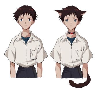 Rule 34 | 1boy, animal ears, black pants, blue eyes, blue shirt, brown hair, cat boy, cat ears, cat tail, collared shirt, commentary, cropped legs, dss choker, highres, ikari shinji, looking at viewer, male focus, multiple views, neon genesis evangelion, pants, rebuild of evangelion, shirt, shirt tucked in, short hair, untranslatable commentary, tail, undershirt, white shirt, yorumi1117