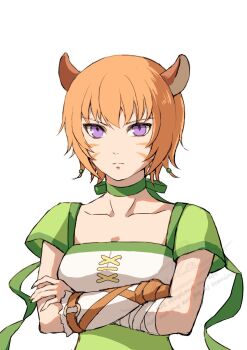 1girl animal_ears arms_under_breasts breasts cat_ears cat_girl choker cleavage closed_mouth collar collarbone commentary_request crossed_arms eula_rito facepaint facial_mark fire_emblem fire_emblem:_path_of_radiance green_choker green_collar hair_between_eyes hand_guard highres laguz_(fire_emblem) lethe_(fire_emblem) looking_at_viewer medium_breasts nintendo orange_hair purple_eyes solo whisker_markings white_background wrist_wrap