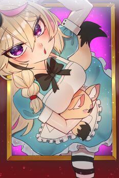 Rule 34 | 1girl, absurdres, alice's adventures in wonderland, alice (alice in wonderland), alice (alice in wonderland) (cosplay), alternate costume, animal ears, apron, black streaks, blue dress, blush, braid, braided ponytail, cosplay, dress, fox ears, fox girl, fox tail, highres, hololive, long hair, looking at viewer, multicolored hair, omaru polka, open mouth, pink streaks, purple eyes, solo, streaked hair, striped clothes, striped thighhighs, tail, thighhighs, two-tone hair, virtual youtuber, white apron, yuuppi, zain (omaru polka)