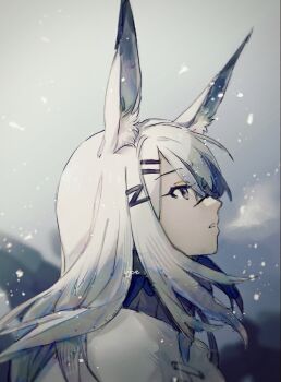 Rule 34 | 1girl, animal ear fluff, animal ears, arknights, commentary, frostnova (arknights), grey eyes, hair ornament, hairclip, long hair, looking ahead, one-hour drawing challenge, outdoors, parted lips, portrait, profile, scar, scar on face, scar on nose, snowing, solo, ujoe 7hr, white hair, wind