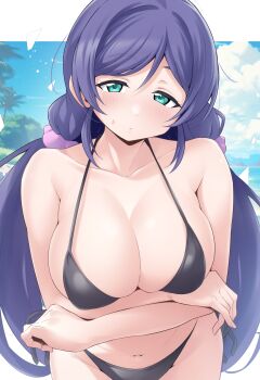 1girl aqua_eyes arm_under_breasts bare_arms beach bikini black_bikini blue_sky blush breasts cleavage cloud collarbone commentary_request david_haire day hair_ornament hair_scrunchie highres kirisaki_reina large_breasts letterboxed long_hair looking_at_viewer love_live! ocean palm_tree parted_lips purple_hair purple_scrunchie scrunchie sidelocks sky solo standing swimsuit tojo_nozomi tree very_long_hair