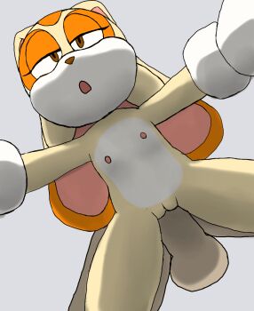 1boy 1girl aerosin animated animated_gif bestiality brown_eyes cream_the_rabbit from_below furry hetero loli nipples nude penis pussy sex sex_from_behind sonic_(series)