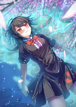 Rule 34 | 1girl, afloat, black dress, black hair, blush, bow, bowtie, breasts, center frills, cherry blossoms, commentary request, dress, falling petals, frills, houjuu nue, medium breasts, missing wings, petals, pink petals, pointy ears, red bow, red bowtie, red eyes, short sleeves, smile, solo, touhou, water, yakkyokuya