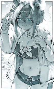 1girl absurdres animal_ears beach blue_eyes blush cheval_grand_(summer_calm_navy_drop)_(umamusume) cheval_grand_(umamusume) commentary_request cowboy_shot day ear_ornament gluteal_fold hair_between_eyes highres hood hood_down hooded_jacket horse_ears horse_girl horse_tail jacket long_sleeves male_swimwear medium_hair multicolored_hair navel niwarhythm official_alternate_costume official_alternate_hairstyle open_clothes open_jacket outdoors sand sidelocks solo stomach streaked_hair sun sweat swim_trunks tail umamusume water