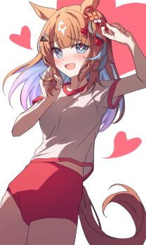 +_+ 1girl almond_eye_(umamusume) animal_ears blue_eyes blush bneoul breasts brown_hair buruma colored_inner_hair gym_shirt hair_between_eyes hair_ornament hairclip heart highres horse_ears horse_girl horse_tail long_hair looking_at_viewer multicolored_hair open_mouth red_buruma shirt short_sleeves smile solo symbol-shaped_pupils tail tracen_training_uniform umamusume white_shirt x-shaped_pupils