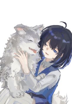 1girl absurdres ahoge animal animal_on_lap black_hair black_skirt blue_eyes blue_hair blue_vest collar colored_inner_hair cowboy_shot detached_collar happy highres honkai_(series) honkai_impact_3rd long_sleeves looking_at_animal medium_hair miniskirt multicolored_hair on_lap one_eye_closed open_mouth petting pleated_skirt seele_vollerei shirt simple_background sitting skirt smile striped_clothes striped_thighhighs thighhighs vertical-striped_clothes vertical-striped_thighhighs vest white_background white_collar white_shirt white_thighhighs wolf zha_ha