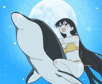 Rule 34 | 1girl, azumanga daiou, bikini, black eyes, black hair, blue sky, blush, breasts, cleavage, commentary, dolphin, dolphin riding, from below, full moon, highres, large breasts, long hair, moon, open mouth, orange bikini, riding, riding animal, sakaki (azumanga daioh), sky, solo, sparkle, swimsuit, very long hair, wujurana