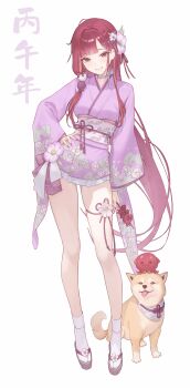 1girl absurdres chinese_text commentary dog english_commentary flower furisode geta grey_eyes hand_on_own_hip highres japanese_clothes kimono long_hair multicolored_hair obi original red_hair sash shiba_inu short_kimono simple_background smile streaked_hair tabi thigh_strap unfinished white_background youngjoo_kjy