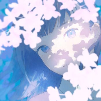 1girl aaaoka blue_eyes blue_hair cherry_blossoms dappled_sunlight eyelashes flower highres long_hair looking_at_viewer original parted_lips portrait solo square sunlight white_flower