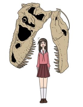 1girl animal_bones animal_skull azumanga_daiou bone brown_hair dinosaur farhan_melukis kasuga_ayumu long_hair paleoart skirt smile solo tyrannosaurus_rex white_background