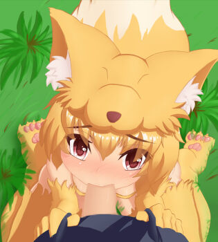 Rule 34 | 1boy, 1girl, aki 32, animal feet, animal hands, blonde hair, blush, breasts, censored, commentary request, fellatio, fox girl, fox hat, fox tail, full body, grass, hetero, highres, looking at viewer, moonlight flower, mosaic censoring, nose blush, oral, penis, pov, pov crotch, ragnarok online, red eyes, short hair, small breasts, solo focus, tail, variant set