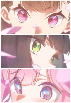 3girls absurdres anyoji_hime black_hair blue_eyes blunt_bangs border braid brown_hair center-flap_bangs column_lineup commentary_request eye_focus eye_reflection falling_petals fujishima_megumi green_eyes hasu_no_shousankaku highres kachimachi_kosuzu link!_like!_love_live! love_live! momose_ginko multiple_girls osawa_rurino petals pink_eyes pink_hair pink_petals raised_inner_eyebrows reflection short_eyebrows side_braids sparkling_eyes sunkeun v-shaped_eyebrows virtual_youtuber white_border