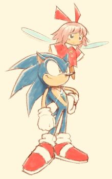 1boy 1girl crossover crystal_shards fairy fairy_wings full_body furry furry_male gloves green_eyes hand_on_own_hip kirby_(series) kirby_64 maxoke nintendo pink_hair red_ribbon ribbon ribbon_(kirby) sonic_(series) sonic_the_hedgehog sparkle white_gloves wings