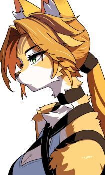 1girl animal_ear_fluff animal_ears blonde_hair body_fur bra breasts cat_ears cat_girl cleavage closed_mouth commentary commentary_request english_commentary from_side furry furry_female green_eyes highres long_hair medium_breasts mixed-language_commentary multicolored_fur no_mask profile pulchra_fellini samme_hacci simple_background solo underwear white_background white_bra yellow_fur zenless_zone_zero