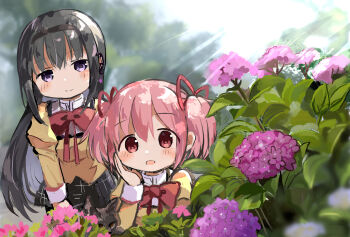 2girls akemi_homura black_hair black_hairband black_skirt blurry blurry_background blush bow bowtie bush closed_mouth commentary_request flower hairband hand_on_own_cheek hand_on_own_face highres hydrangea juliet_sleeves kaname_madoka kneeling leaning_forward light_rays long_hair long_sleeves mahou_shoujo_madoka_magica mahou_shoujo_madoka_magica_(anime) mitakihara_school_uniform multiple_girls open_mouth outdoors pink_eyes pink_flower pink_hair plaid_clothes plaid_skirt puffy_sleeves purple_flower red_bow red_bowtie school_uniform shirt short_hair short_twintails sidelocks skirt smile sunlight twintails yellow_shirt yuukarirakkumasuki