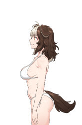 Rule 34 | 1girl, absurdres, ahoge, animal ears, armpit crease, ass, bikini, breasts, brown hair, cain (gunnermul), closed mouth, commentary request, cowboy shot, dog ears, dog girl, dog tail, from side, hachiko of castling, highres, korean commentary, last origin, medium breasts, medium hair, multicolored hair, navel, orange eyes, profile, side-tie bikini bottom, simple background, smile, solo, standing, swimsuit, tail, two-tone hair, white background, white bikini, white hair